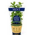 thumbnail image 5 of Fresh Potted Mint, 1 Each, 5 of 7