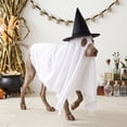 thumbnail image 6 of Dog Halloween Clothes Set, Ghost Cape & Witch Hat, Polyester Pet Outfit, White, 6 of 6