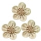 thumbnail image 4 of unbranded 10Ud Rosas De Encaje Beige Para Romántica De Bodas Y Eventos, 4 of 8