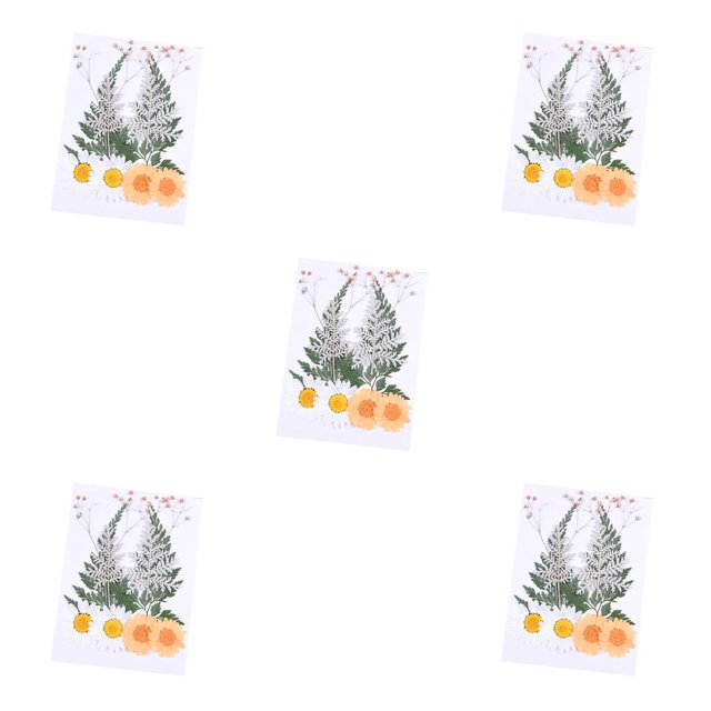 Advancent Flores secas, flores prensadas, decoraciones de , accesorios de bricolaje, suministros de álbum de recortes para tarjetas de boda, kit juego de flores de naranja 5Conjunto