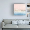 thumbnail image 3 of Ethan Harper 'Pink Sands II' Canvas Art, 3 of 3