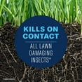 thumbnail image 4 of BioAdvanced Complete Brand Insect Killer for Lawns, Granules, 20 lb, 4 of 6