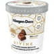 Crème glacée HÄAGEN-DAZS Divine Morceaux de chocolat et brownies, 475 ml – image 4 sur 9