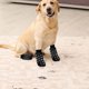 thumbnail image 5 of Calcetines antideslizantes para perros y gatos, ajustables, aptos para perros y gatos pequeños o grandes, 2 pares (M, negro), 5 of 5