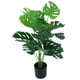 thumbnail image 5 of Planta Artificial ANGGREK Monstera 80 Cm 18 Hojas Realista Para Tienda, 5 of 7