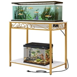 Aquarium Stand for Ornamental Fish Color: Stunning Designs to Enhance Your Tank