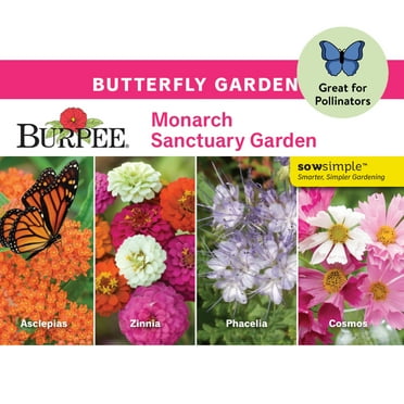 Burpee Monarch Sanctuary Garden, Butterfly Garden, Annual Flower Seed Collection, 4 Types of Annual Flower, Full Sun