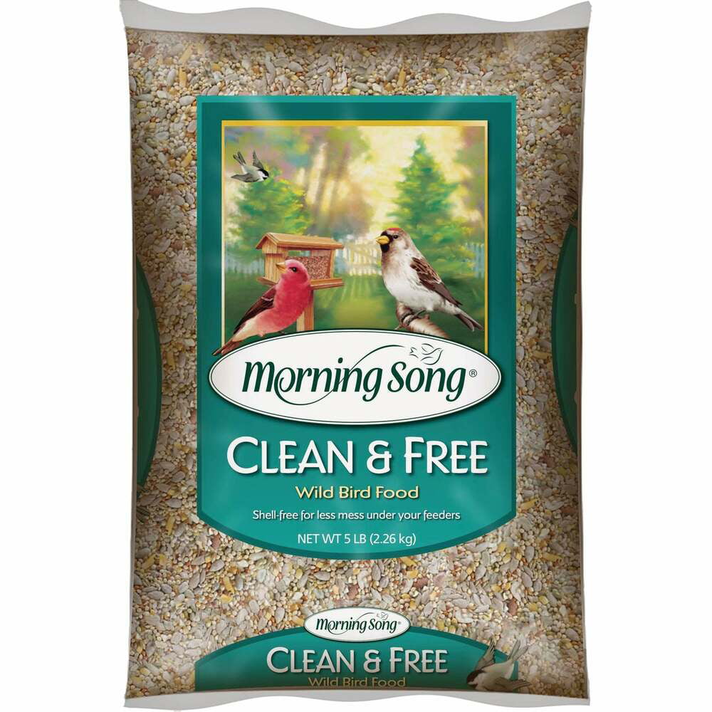Clean & Free Shell Free Wild Bird Seed 2 pk Morning Song 5 Lb 