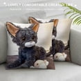 thumbnail image 3 of Plush, Cute Black Cat Stuffed Animal Pillow, Cat Plush Toy Gifts for Birthday/Halloween/Christmas, 3 of 5
