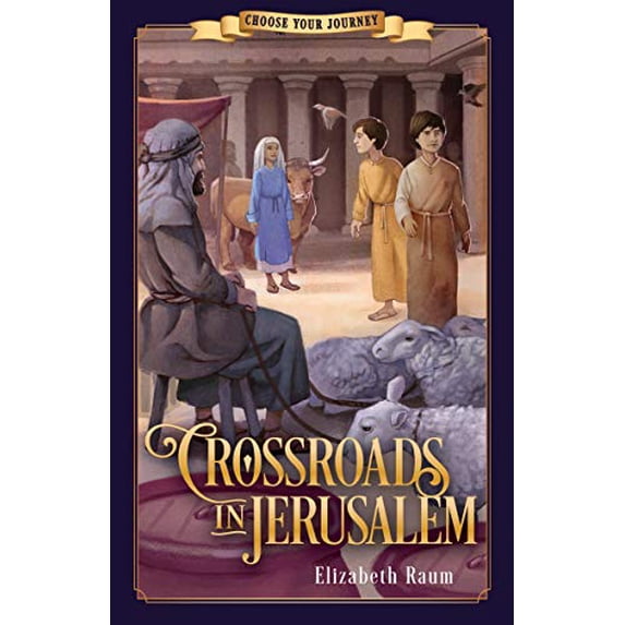 Pre-Owned Crossroads in Jerusalem (Paperback) 1628568984 9781628568981