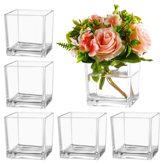 Square Clear Glass Vases Set of 6, 5" x 5" x 5" Flower Vases for Centerpieces, Square Vase for Centerpieces, Small Vase for Wedding, Party, Home Office Decoration