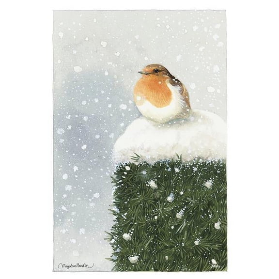 Marjolein Bastin (Red Breasted Robin) MightyPrint™ Wall Art MP17240396