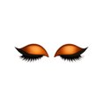 thumbnail image 1 of Orange Eyelash Shadow Patches 2-In-1 Beauty Decals For Eyelid Line Quick Application Waterproof Sweat Proof Reusable Eye Makeup Solution Orange, 1 of 7