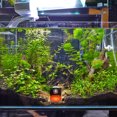 thumbnail image 1 of WHAMVOX Soporte Para Coral De Acrílico Para De Peces Con Base Fluorescente Frag Rack, 1 of 6