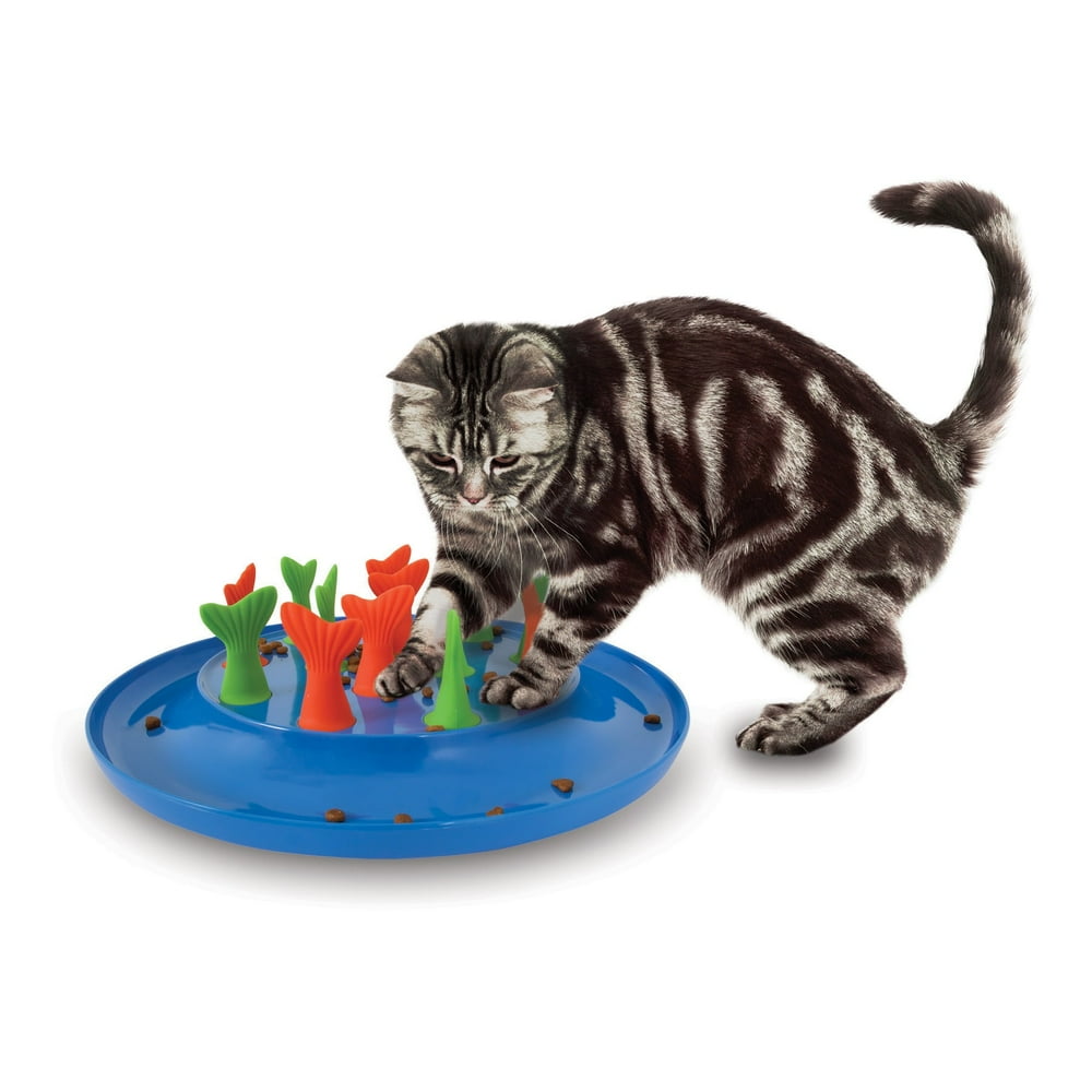 jackson galaxy go fish