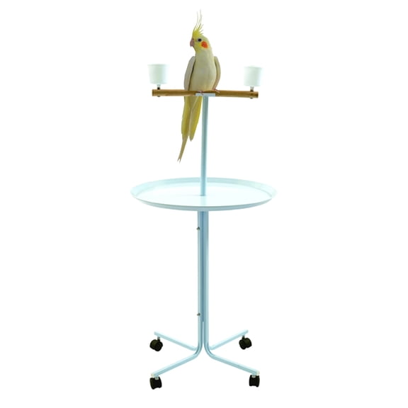 Large 23" Play T-Stand Wooden Perch Rolling Stand With Metal Base Parrot Bird Cage Amazon African Grey Macaw Cockatoo