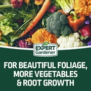Expert Gardener All Purpose Plant Food Fertilizer 13-13-13 Formula; 40 lb.
