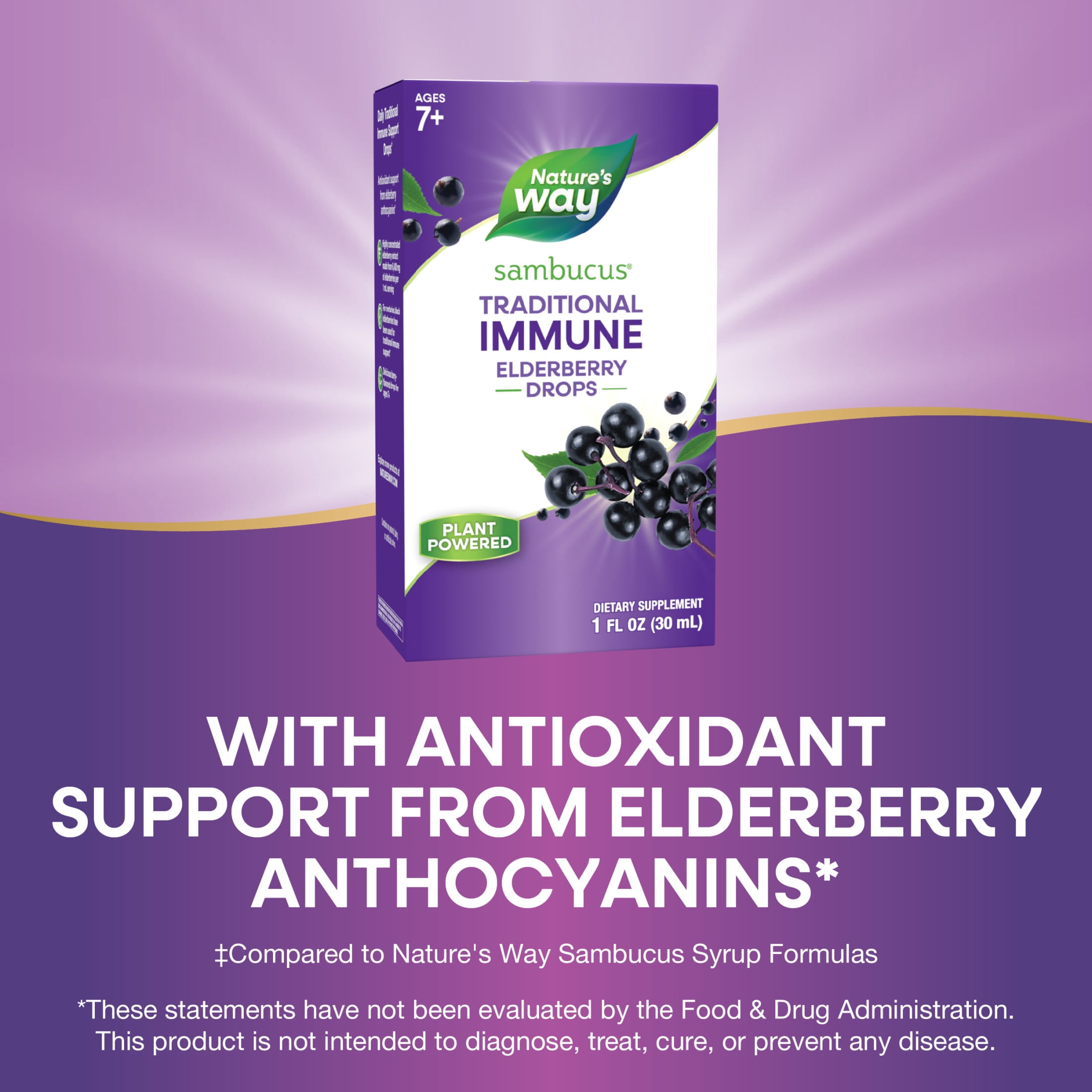 Nature's Way Sambucus Elderberry Drops, 100 mg per Serving, 1 Fl. Oz