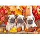 thumbnail image 1 of Cuadros Decorativos Kits de pintura de diamantes DIY, tres Pugs, taladro cuadrado completo, decoración del hogar, regalos de arte Ehuebsd Nuevos Originales, 1 of 8