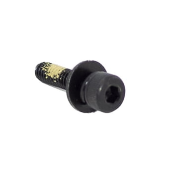 OEM Echo 488, 488P, 491s Bolt M4x16