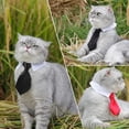 thumbnail image 4 of Conjunto de pajarita y corbata para mascotas, cuello formal ajustable Yosbabe, 4 of 7