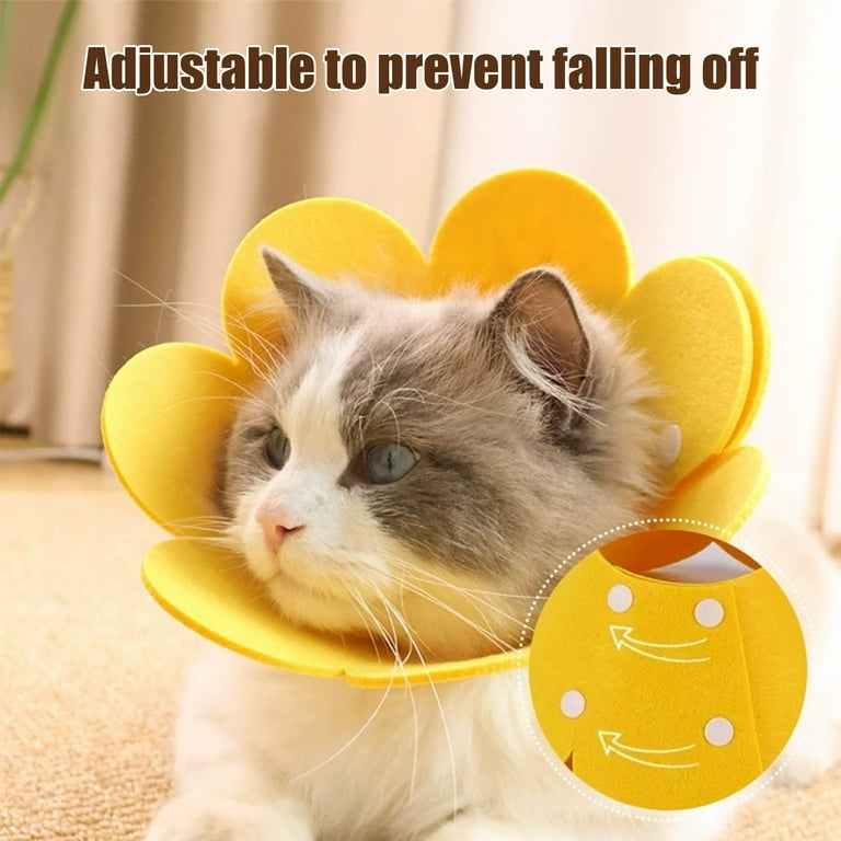 Cat Cone Collar, Adjustable Elizabethan Pet Recovery Collar for