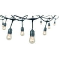 thumbnail image 3 of 12-Light 24 ft. Plug-in Indoor/Outdoor Edison String Light with S14 Single Filament LED Bulbs, 3 of 7