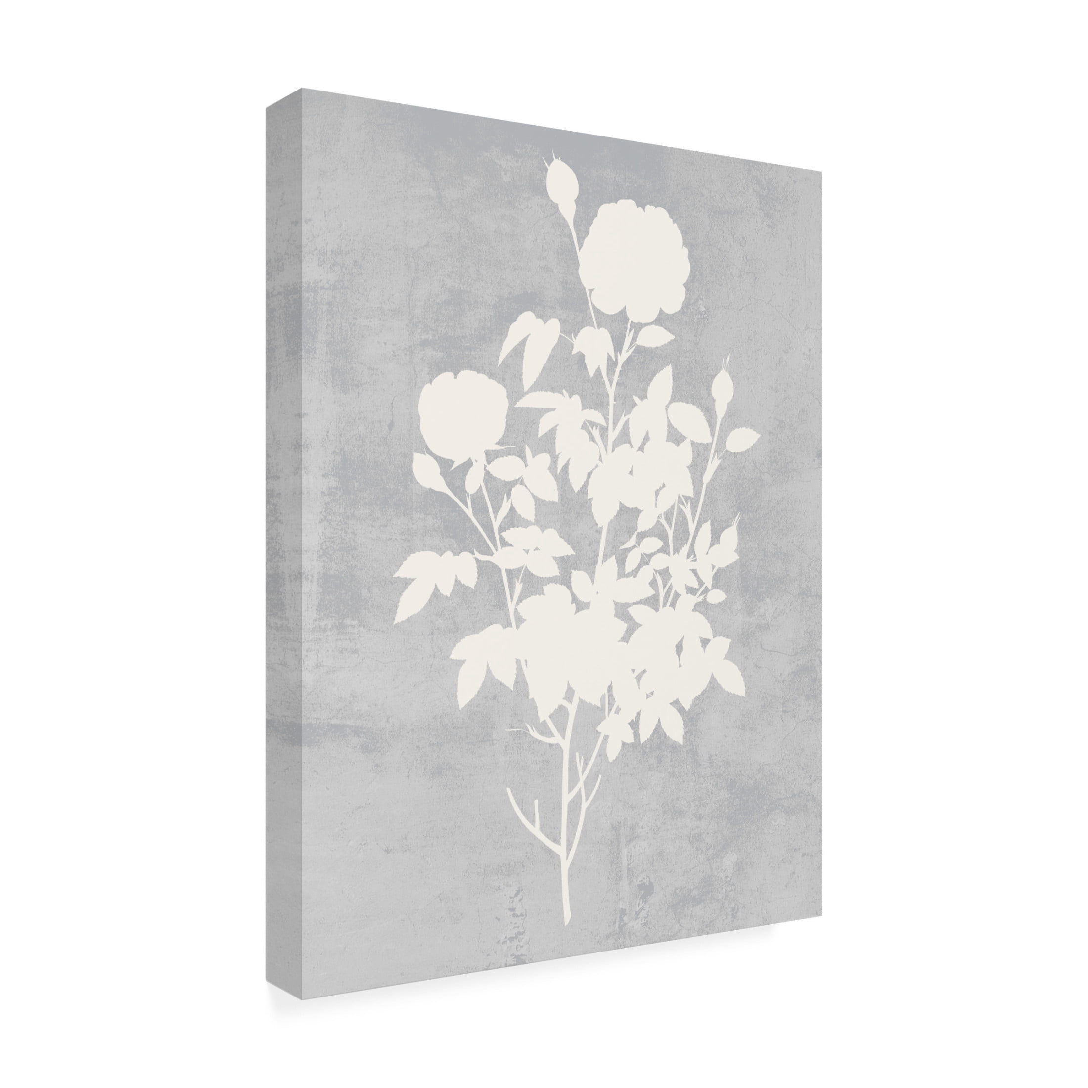 Trademark Fine Art Melissa Wang  Falling Flowers II Canvas Wall Art