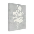 thumbnail image 4 of Trademark Fine Art Melissa Wang  Falling Flowers II Canvas Wall Art, 4 of 4