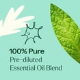 thumbnail image 5 of Plant Therapy Tension Relief Essential Oil Blend Pre-Diluted Roll-On 10 mL (1/3 oz) 100% Pure, Therapeutic Grade Essential Oils Diluted in Fractionated Coconut Oil, 5 of 8