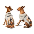 thumbnail image 3 of Happy Halloween Rottweiler Witches Hat Pumpkin Carving Hawaiian Summer Shirt for Small Medium Large Dog Cat Rottie Dog Lover Gifts Idea - 02019, 3 of 6