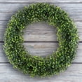 thumbnail image 3 of Pure Garden Set of Two 21-Inch Indoor/Outdoor Artificial Boxwood Plants, 3 of 9