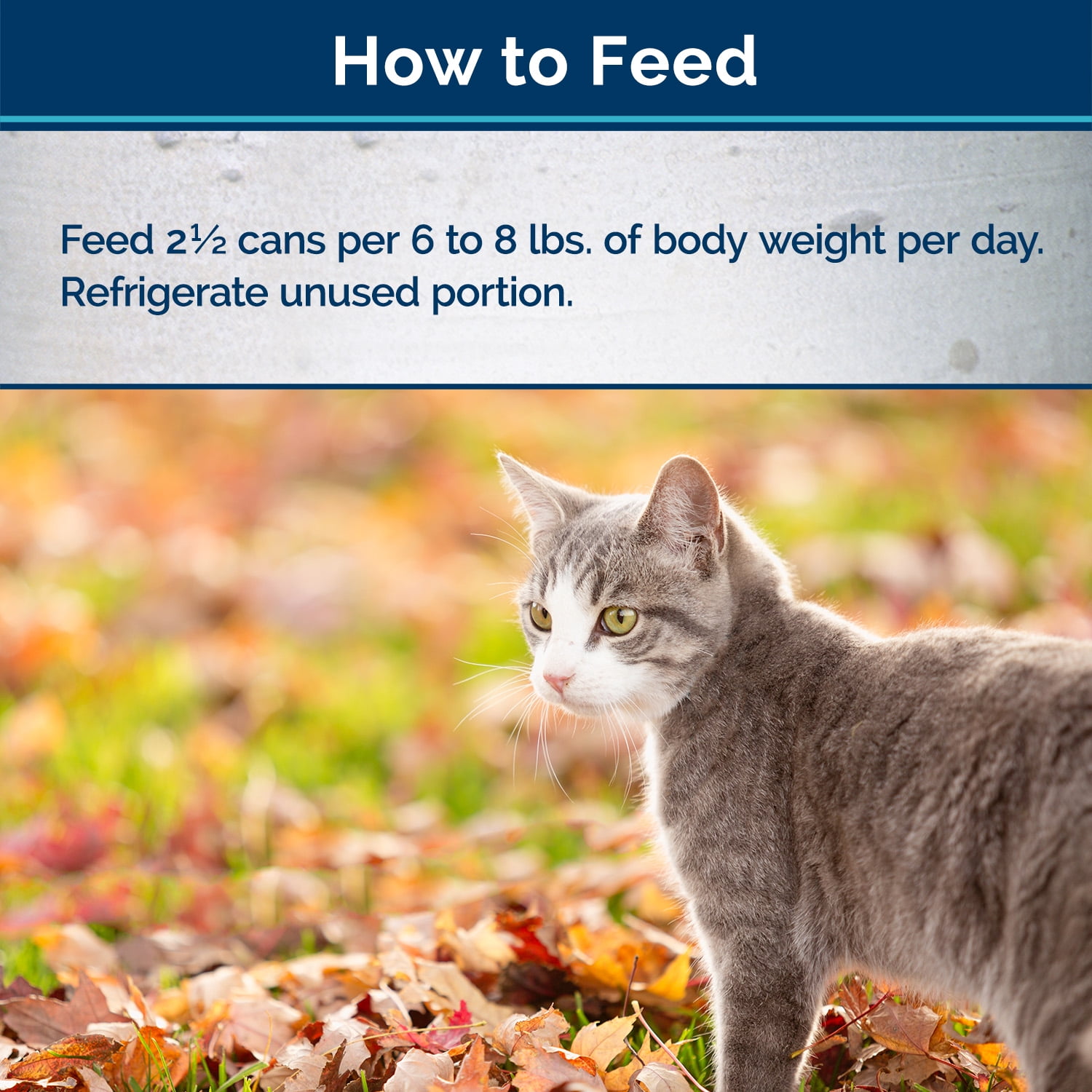 (24 Pack) Blue Buffalo Wilderness Chicken & Salmon Meaty Morsels Grain Free Wet Cat Food, 3 oz. Cans, 24 Pack