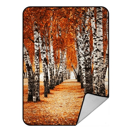 - YKCG Autumn Birch Forest Fall Prime Blanket Crystal Velvet Front and Lambswool Sherpa Fleece Back Throw Blanket 58x80inches