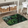 thumbnail image 6 of Non Slip Door Mat, Lush Foliage Green Plant Fast Drying Bath Tub Mats, Absorbent Bathroom Rugs Entrance Welcome Mat, Bath MatS for Tub, Floor, Home, Kitchen, Hotel,16x24in, 6 of 7