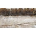 thumbnail image 2 of OToole, Tim 14x10 Gold Ornate Wood Framed with Double Matting Museum Art Print Titled - Neutral Reflection II, 2 of 4