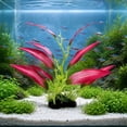 thumbnail image 4 of Artificial Aquarium Plant Plastic Fish Tank Decoration with Soft Silk Like Leaves for Betta Goldfish Freshwater and Saltwater Tanks, 4 of 7