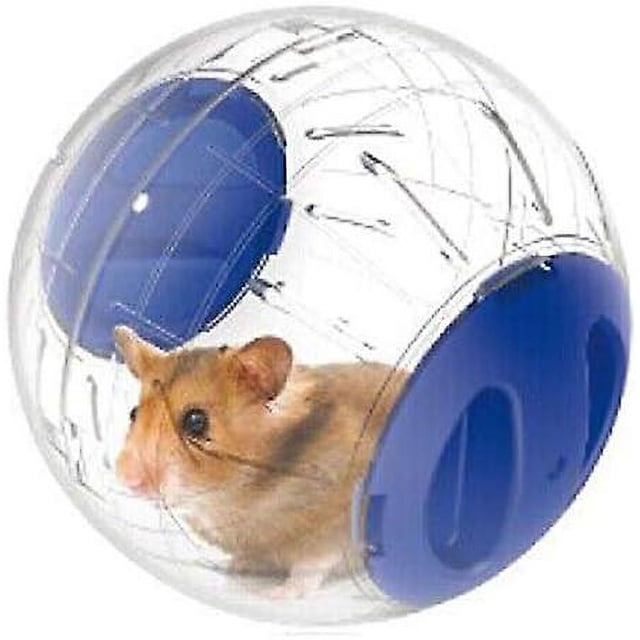 2021 Pelota de gimnasia de plástico de 12 cm para hámsteres y ratones: pelota de ejercicio de juguete transparente y divertida para hámster enano (bu)