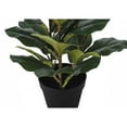 thumbnail image 6 of Artificial Plant - 32" Tall - Indoor - Floor - Potted - Green Leaves, 6 of 6