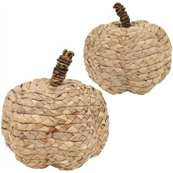 2 Pack Pumpkin Fall Decor Thanksgiving Decorative Pumpkins for Home Woven Cattail Figurines Farmhouse Autumn Decorations Fall Centerpieces for Table Porch Mantel Indoor (Beige)