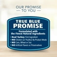 Blue Buffalo Basics Skin & Stomach Care Turkey and Potato Dry Dog Food