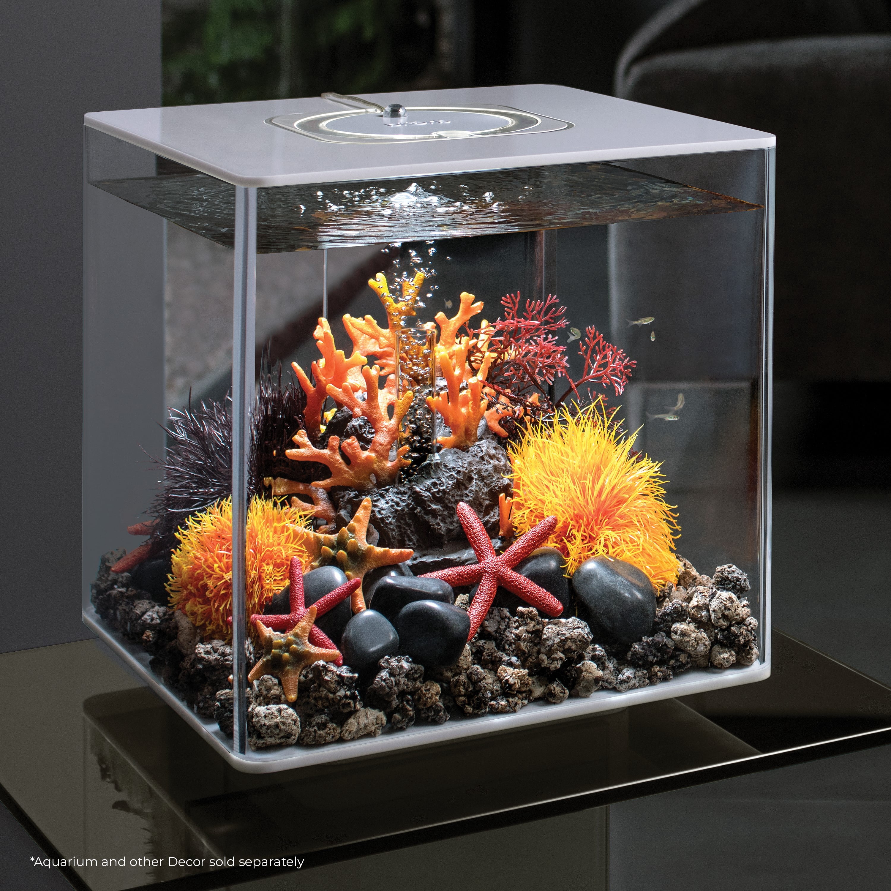 biOrb Red Starfish Set - Small Aquarium Decor