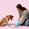 thumbnail image 2 of 13 in. x 9 in. Extra Thick Leak Proof Unscented Dog Poop Bags, Blue (300 Count, 20-Rolls), 2 of 4