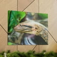 thumbnail image 6 of Anaconda Front Side View Anaconda Dangerous Outside Wall Art Ready To Hang Unframed, 6 of 18