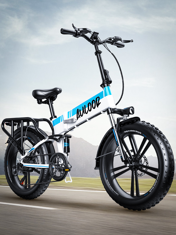 Folding electric bicycle 20 inch aluminum alloy high power 750W power