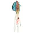 thumbnail image 4 of Soft Luminous Fishing, Octopus Squid Lure Tackle Artificiali Jigging Bait  Calamaro Accessory4, 4 of 8