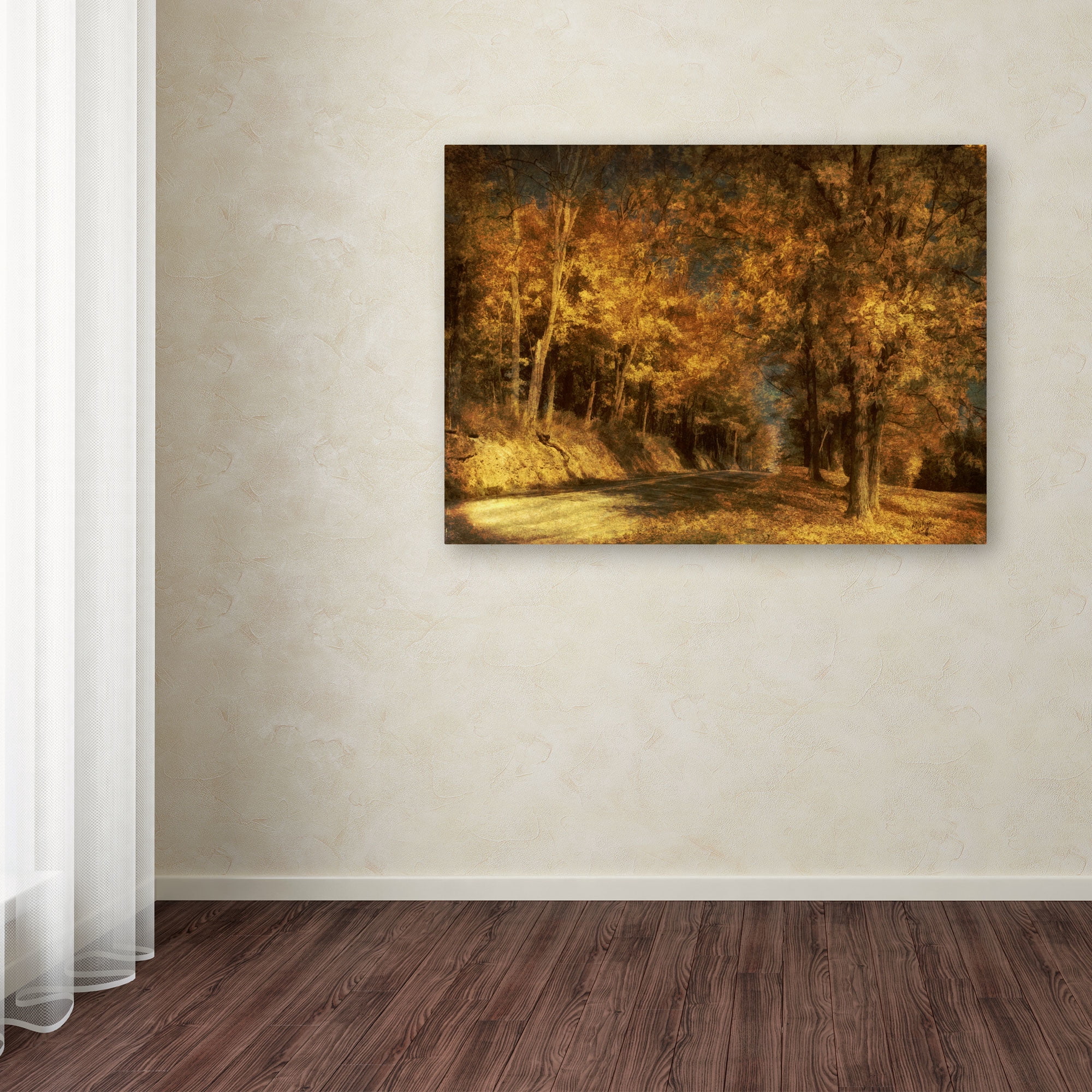 Trademark Fine Art "Back Roads" Canvas Art by Lois Bryan