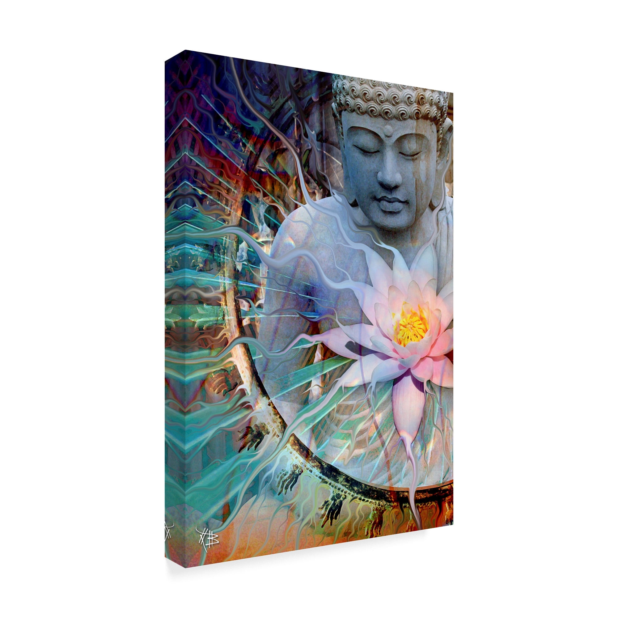 Trademark Fine Art 'Living Radiance' Canvas Art by Fusion Idol Arts