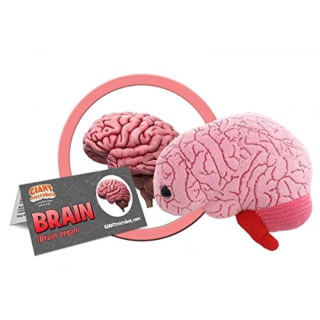 organ plush