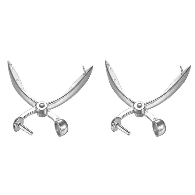 2 Piezas Deshuesadora de Metal Plateado,Deshuesadora de Aceitunas,FáCil de Quitar,Herramienta de NúCleo ExtraccióN Manual,Descorazonadora de Frutas y Verduras de Cocina